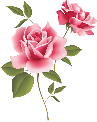 Flor, Dibujos, Pintura, Bordado, Rosas Amarillas, Rosas - English Roses Clip Art (399x500)