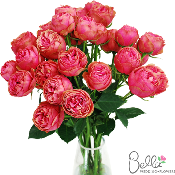 Kabuky Garden Roses Are One Of The Newest Hot Items - Red Rose Bouquet (600x567)