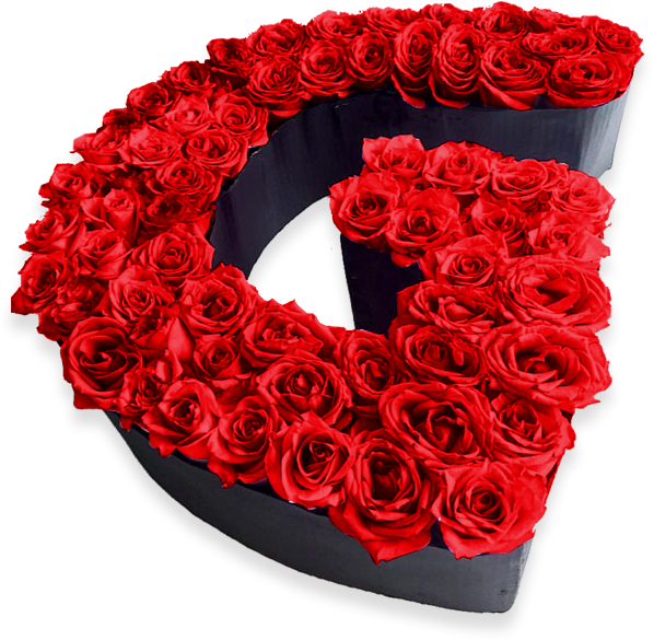 Quiero Hablarte De Mi Amor Pero No Logro Sacar Esas - Cajas De Rosas Rojas (600x600)