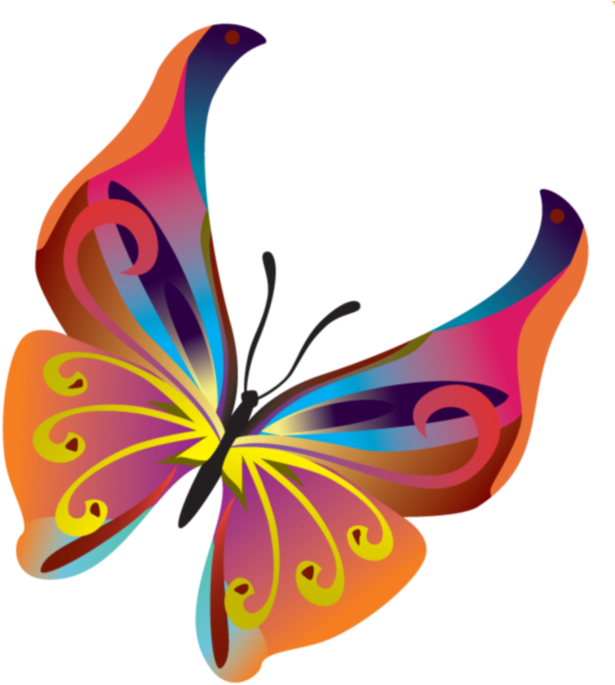 Первоисточник Бабочки - Butterfly Vector Image Png (626x699)