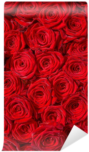 Fabulous Fotomural Estndar Las Rosas Rojas El Smbolo - Garden Roses (400x400)