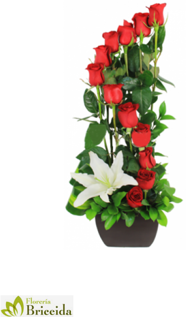 Arreglo Floral De Rosas Rojas - Arreglo Floral De Rosas Rojas (495x759)