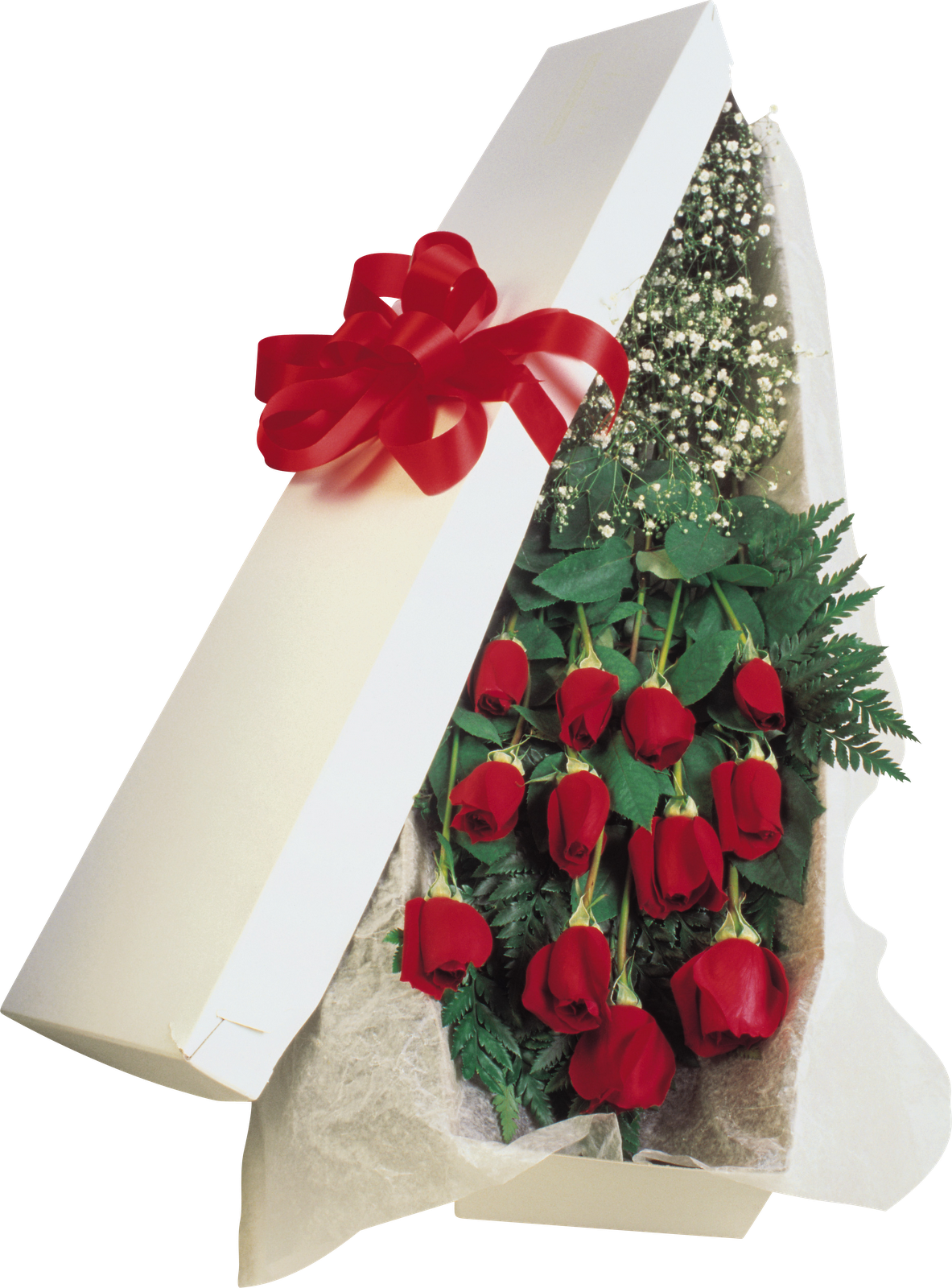 Marcos Gratis Para Fotos - Roses In A Box (1183x1600)