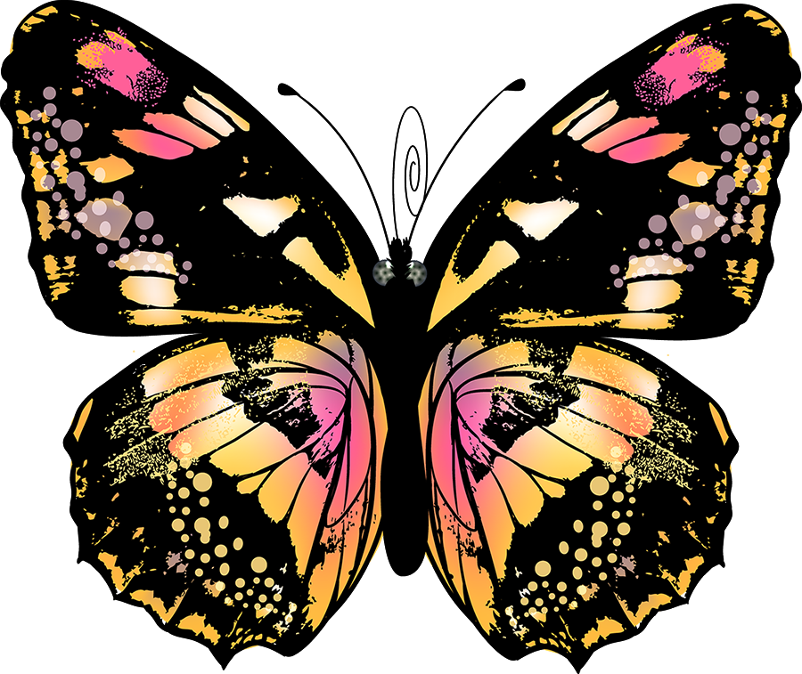 Изображение Для Плейкаста - Анимированные Бабочки На Прозрачном Фоне (900x757)