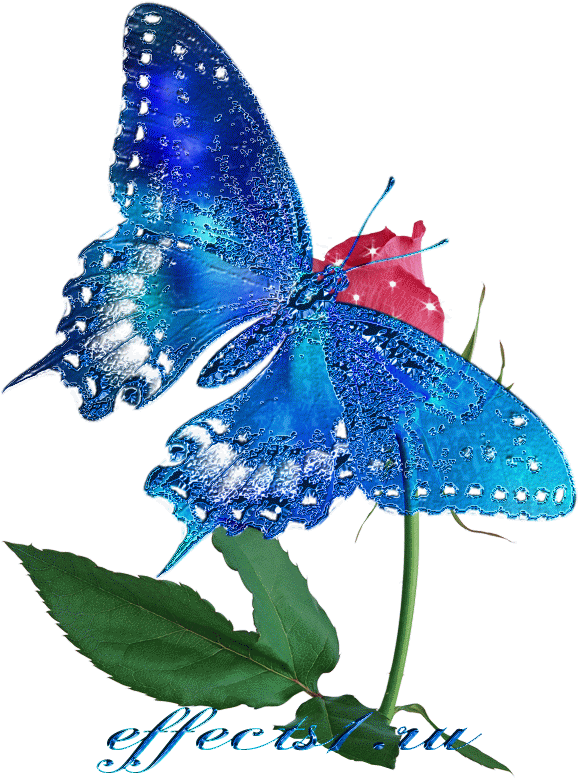 Анимированные картинки. Открытка "бабочки". Анимация бабочки. Мерцающие бабочки на цветах. Бабочки гиф.