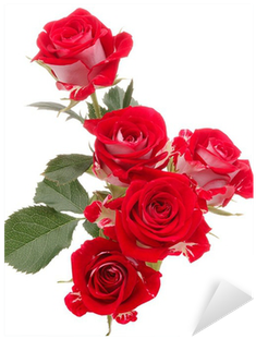 Red Rose Flower Bouquet Isolated On White Background - Rose Rosse Sfondo Bianco (400x400)