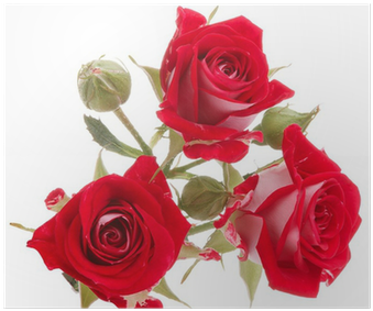 Red Rose Flower Bouquet Isolated On White Background - Flower Bouquet (400x400)