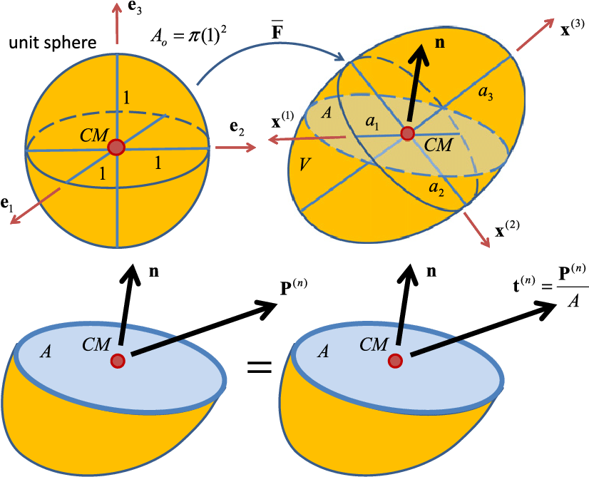 Equivalent Traction Vector And Corresponding Traction - Circle (832x687)