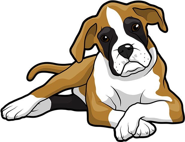Boxer Puppy Golden Retriever Drawing Clip Art - Cute Boxer Dog Cartoon (618x618)