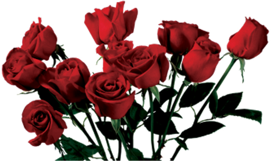 Rose Tumblr Aesthetic 90's Night Alone Sad Pinterest - Aesthetic Roses Png (1024x1024)