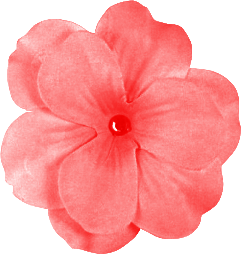 Best Free Flower Png Image Image - Brown Flowers Png (1200x1200)