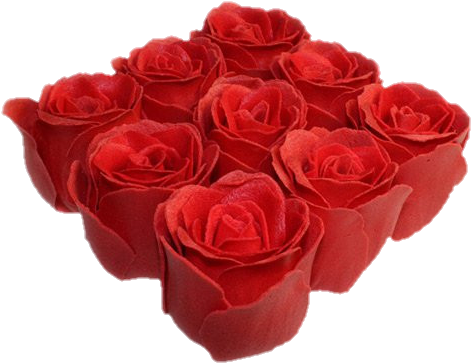 More Bath Petals - K-ancient Bath Roses - 9 Roses In Gift Box (rose) (500x500)