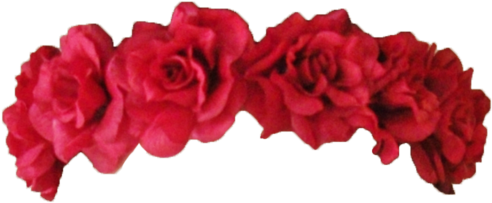 160 Images About 素材♡ On We Heart It - Red Flower Crown Transparent (500x287)
