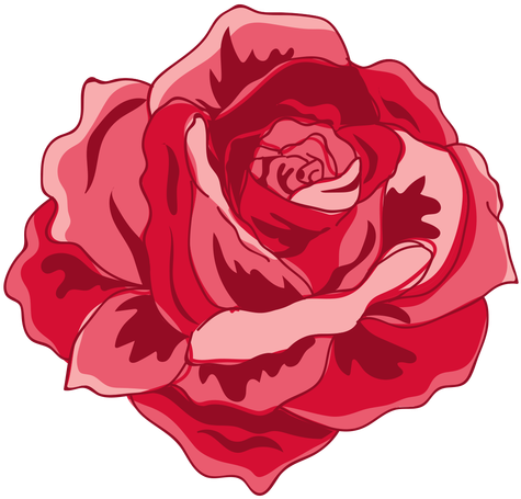 Red Blooming Rose Icon Transparent Png - Solo Rosas En Vintage En Png (512x512)