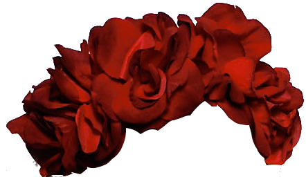 Transparent - Transparent Tumblr Flower Crown (447x276)