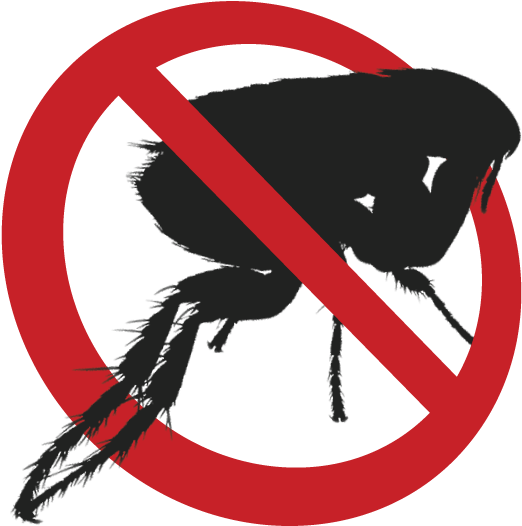 How To Get Rid Of Fleas - Emblem (574x567)