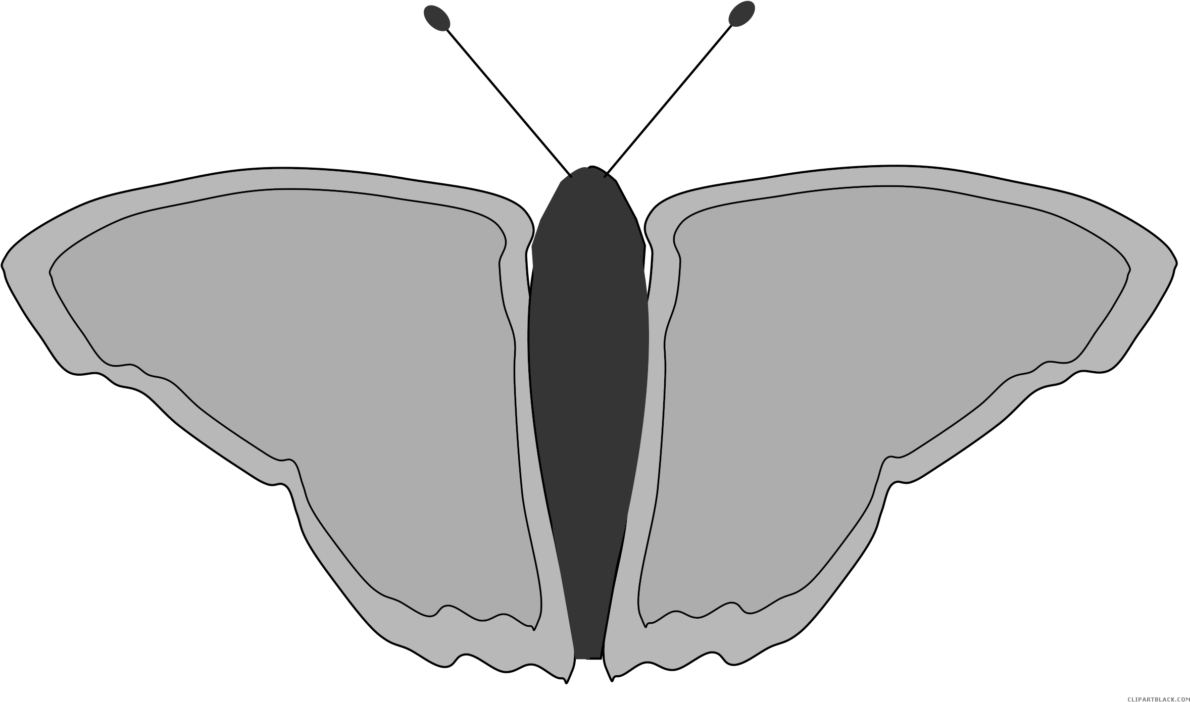 Butterfly Animal Free Black White Clipart Images Clipartblack - Portable Network Graphics (2400x1440)