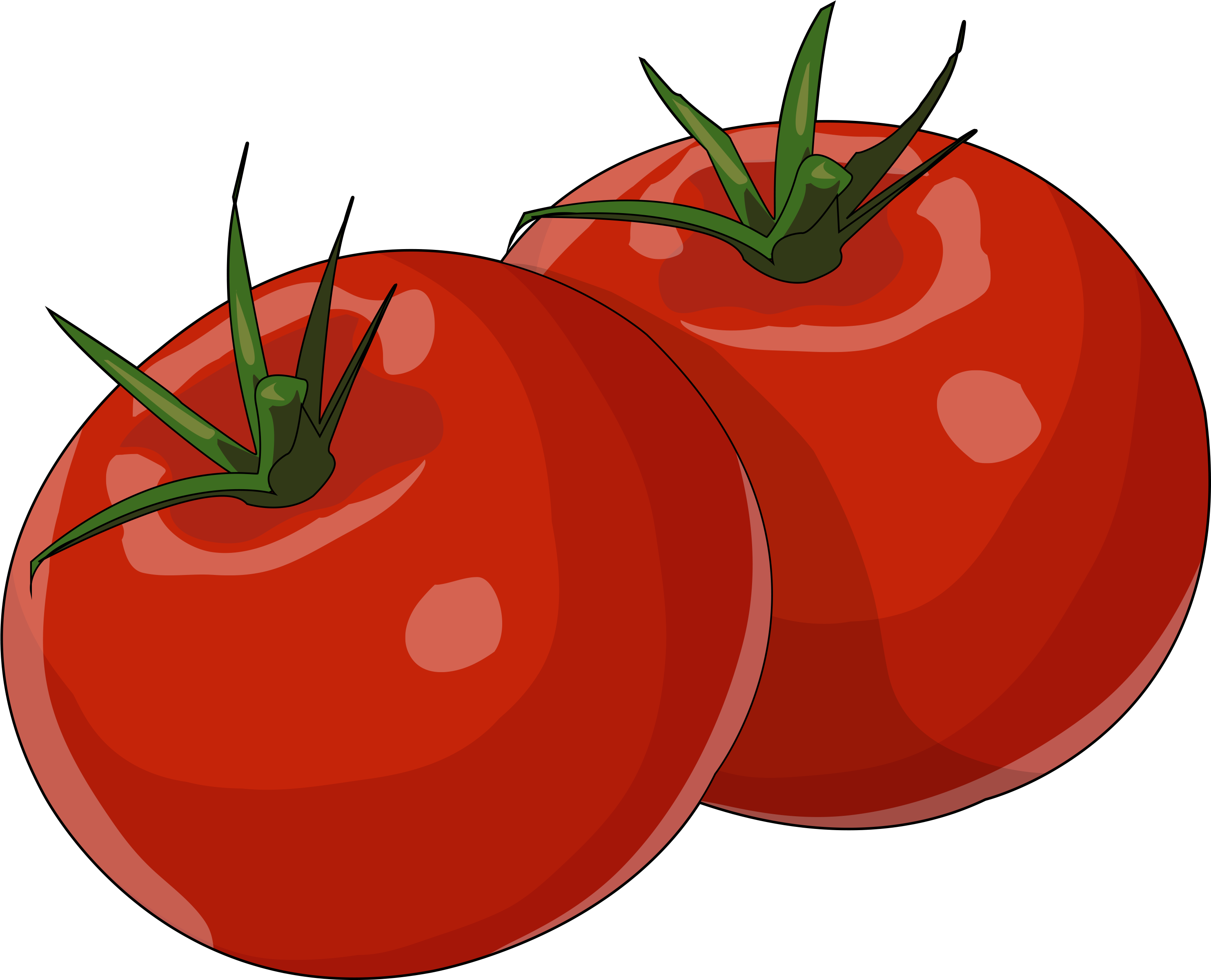 Ver En La Mediateca - Dibujos De Tomate Png (3508x2480)