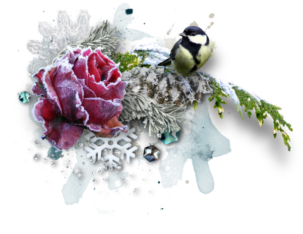 Fleurs,tube,flowers,png - Clip Art (600x596)