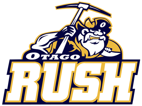 2010 Arkansas Diamonds Season (500x400)