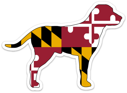 Labrador Overlaid With The Maryland Flag - Flag Of Maryland (530x388)