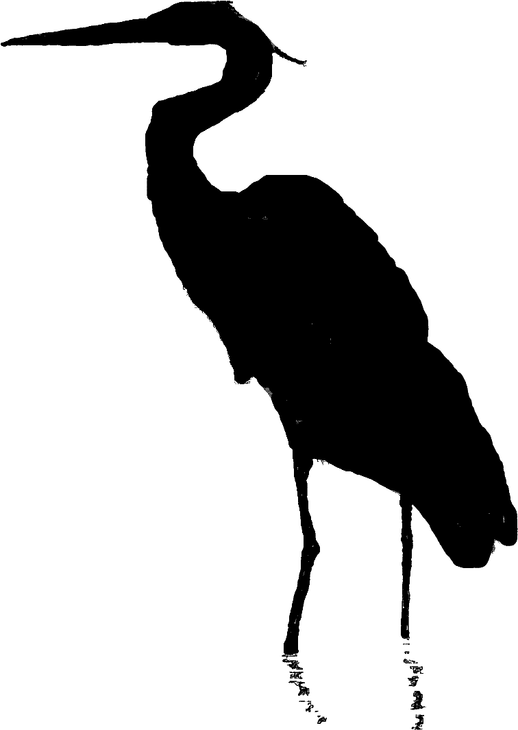 Heron Clipart Clipart Best Qvwcob Clipart - Great Blue Heron Silhouette (873x1248)