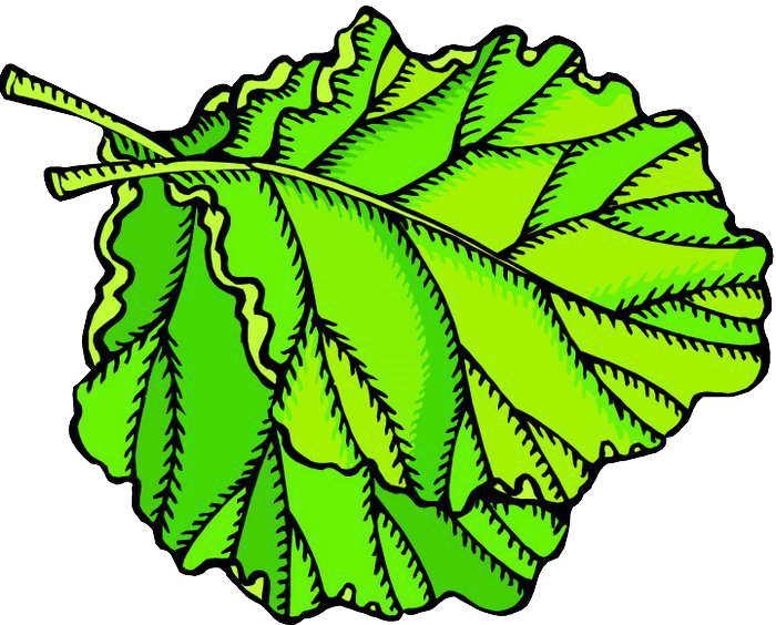 Fruit Leaf Vegetable Animation Clip Art - Vegetable Animation (700x564)