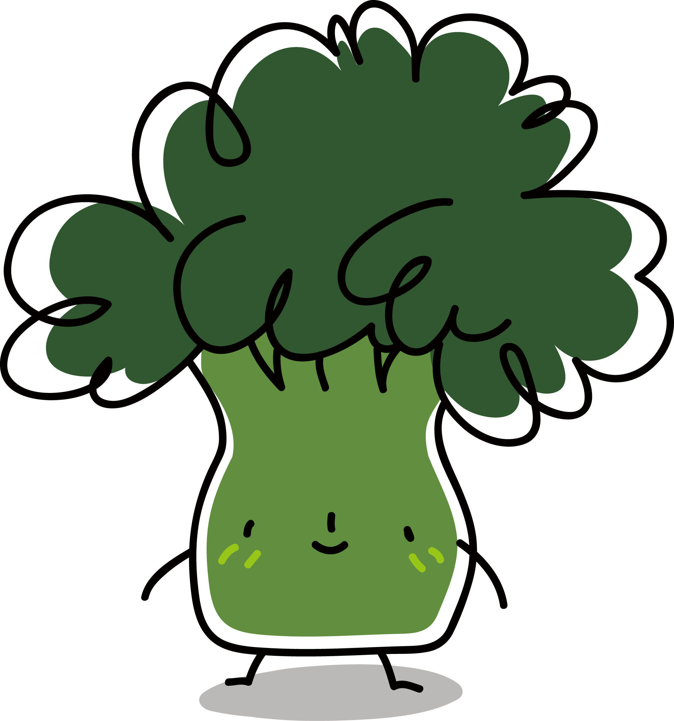 Cauliflower Broccoli Vegetable - 花椰菜 素材 (2153x2301)