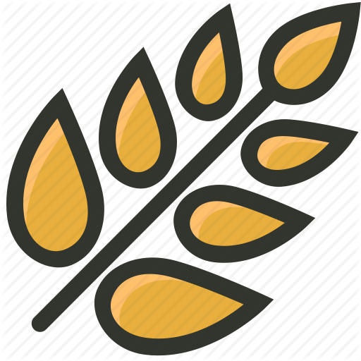 A Group Of Unmilled Rice Picture - Grain Of Wheat Icon (512x512)