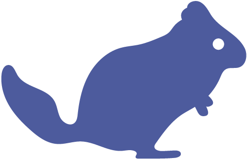 Chinchilla Cages & Cage Accessories - Cage (500x325)