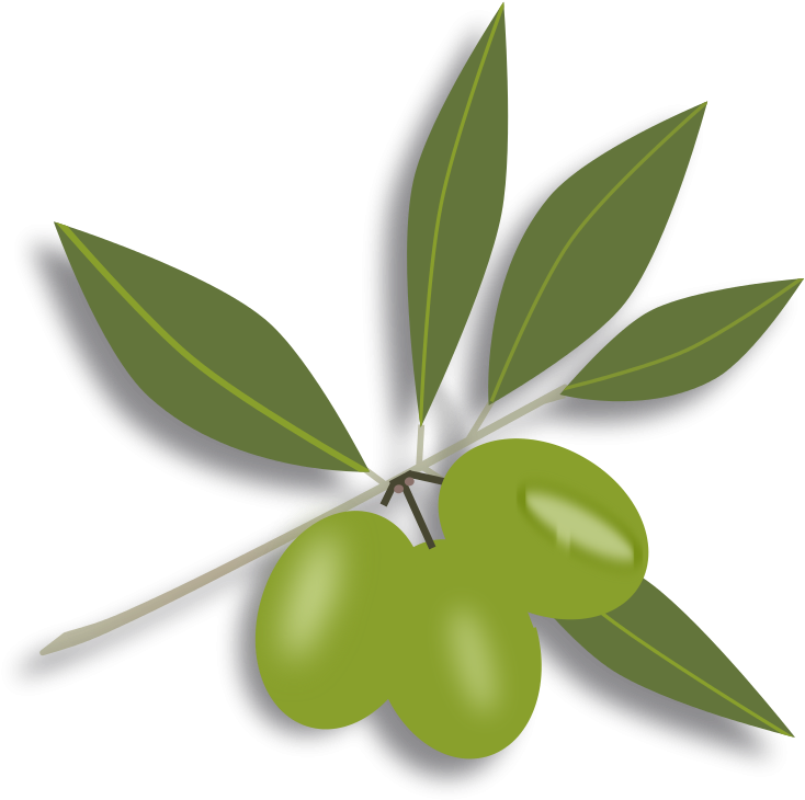 Free Green Olives - Olives Clipart Png (787x800)