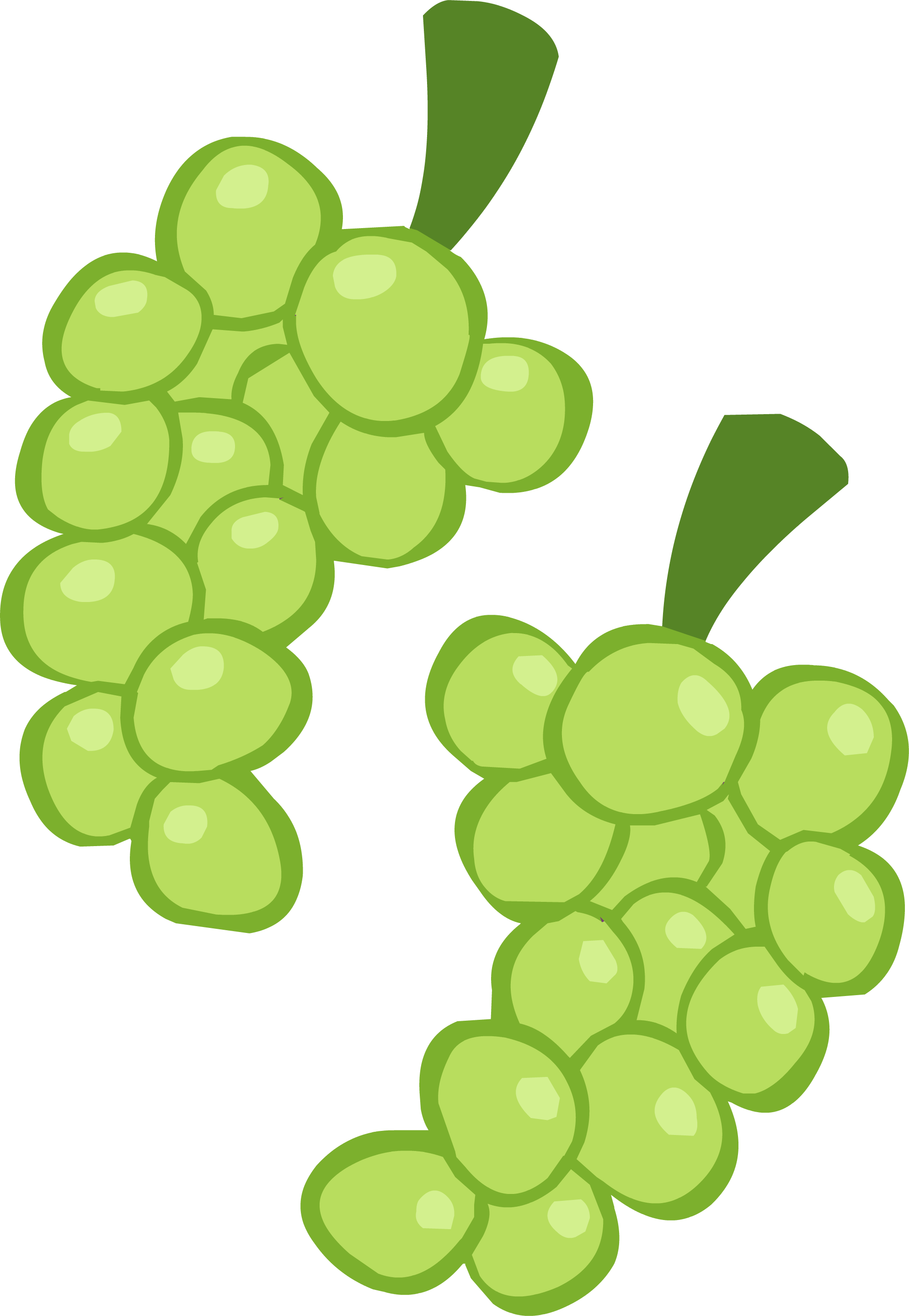 Ponymaker Grapes Free Images At Vector Clip Art - Clip Art (1988x2879)
