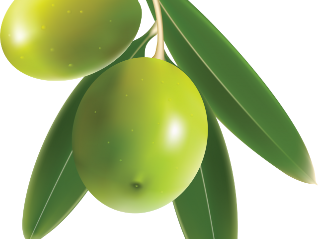 Olive Clipart Transparent Background - Green Mango Png (640x480)