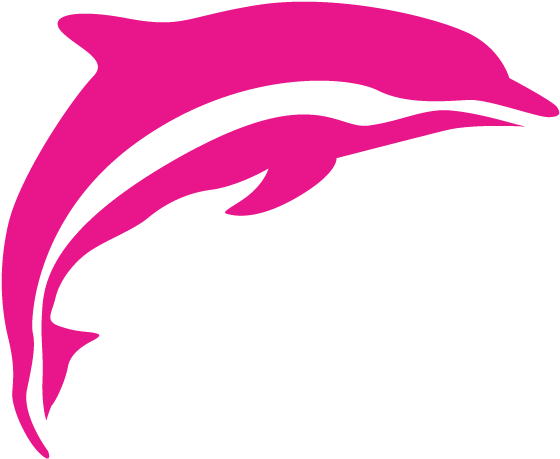 Key Features - Dolphin Graphic (595x491)