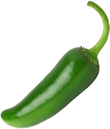 Chili Pepper Bell Pepper Peppers Clip Art - Green Jalapeno (384x438)