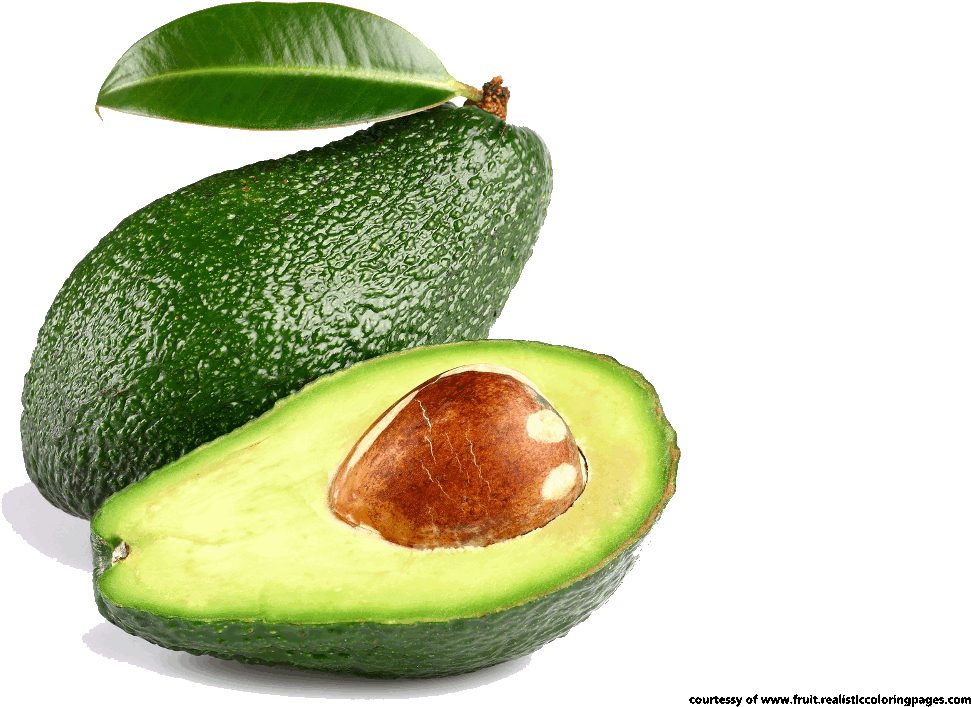 Avocado Clipart Coloring - Clipart Avocado Png Avocado (1280x720)