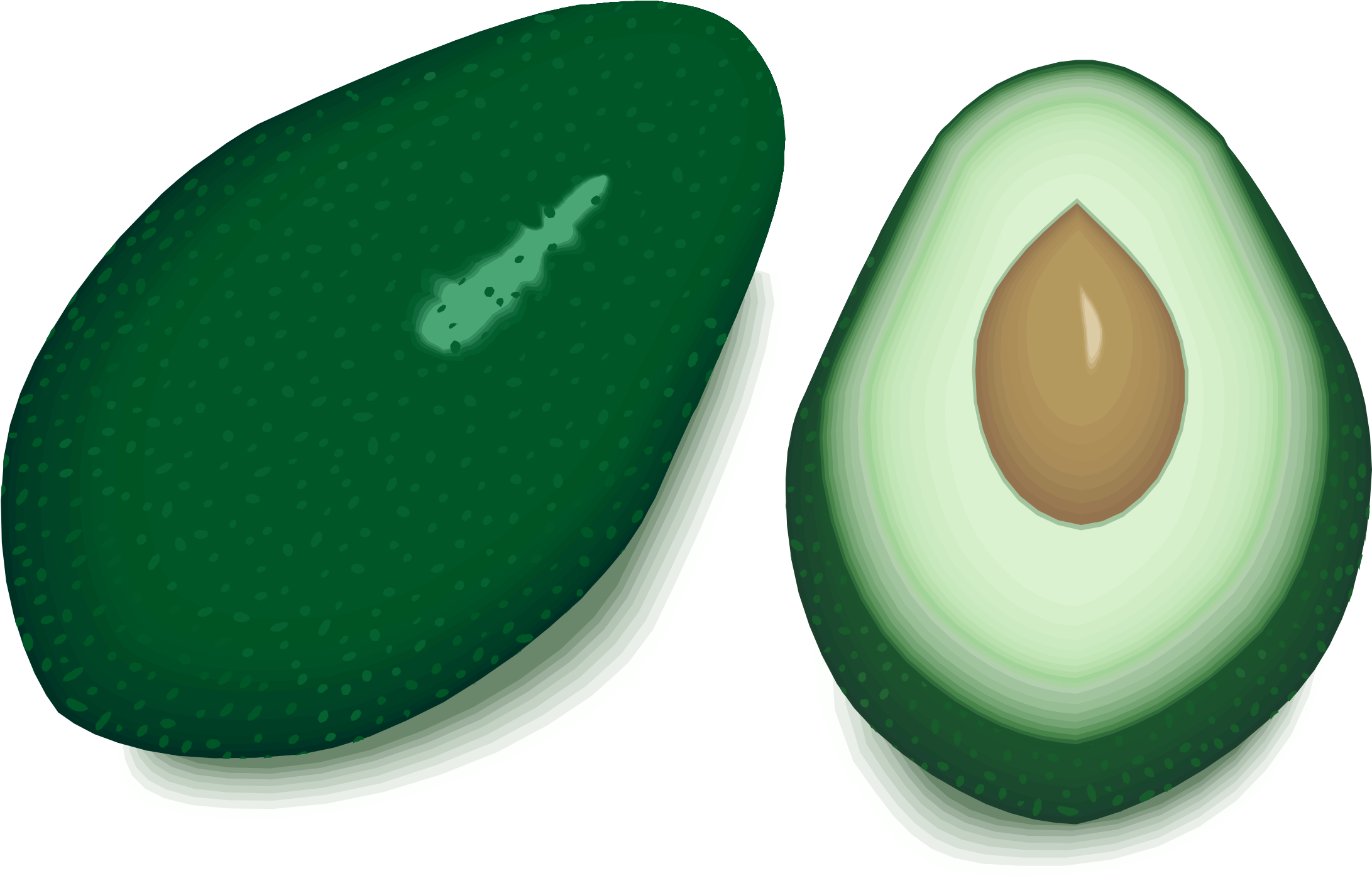 Avocado Clipart - Cliparts Galleries - Clip Art (2400x1498)
