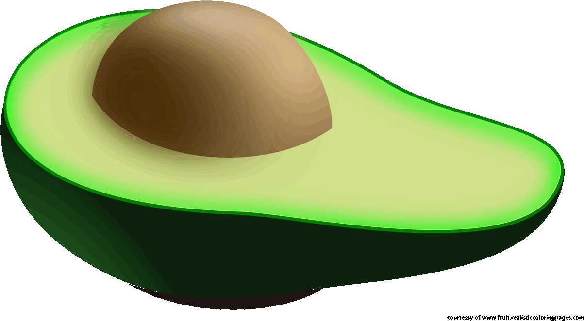 Avocado Clipart Green Fruit - Clip Art (1280x720)