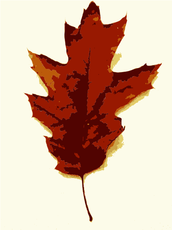 Pictures Of People Falling - Jpeg (800x800)