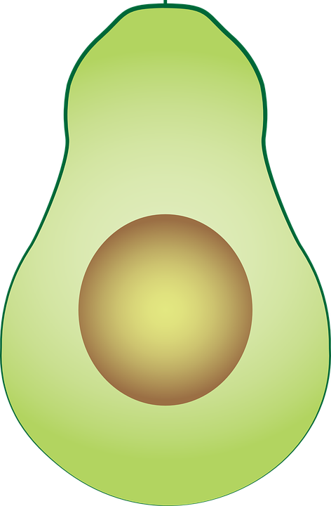 Avocado Clipart Fresh - Diet Food (472x720)
