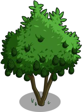 Avocado Tree 100-icon - Illustration (300x400)