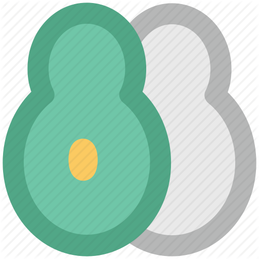 Pawpaw Clipart Avocado - Clip Art (512x512)