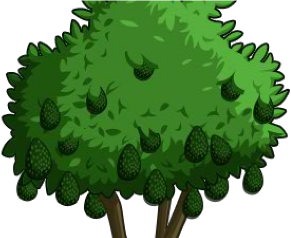 Tree Clipart Clipart Avocado Tree - Illustration (640x480)