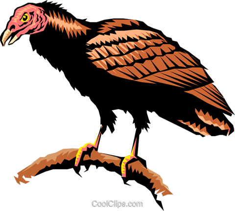 Turkey Vulture Clipart 2 By Jessica - Turkey Vulture Clipart (480x431)