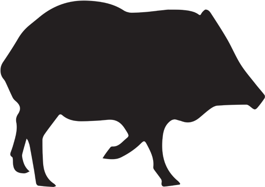2018 Javelina / Turkey Hunting Rates - Porco Vetor Png (600x600)
