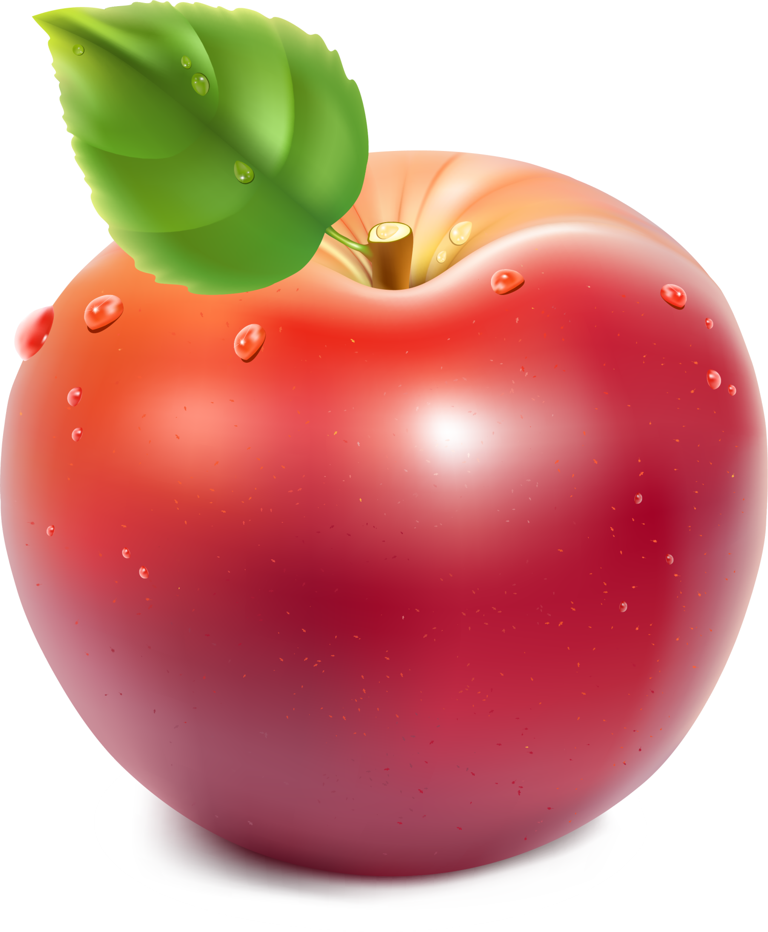 Apple Royalty-free Clip Art - Apple Vector (1500x1821)