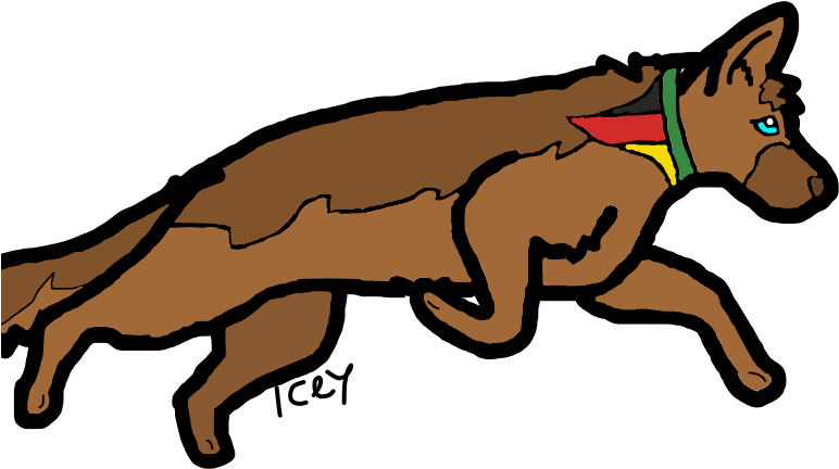 Height=338]http - //i67 - Tinypic - Com/ix5ll3 [/img] - Dog Catches Something (810x538)