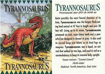 Green Iguana (700x400)