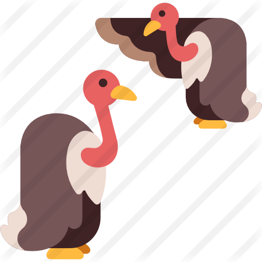 Vulture - Vulture (512x512)