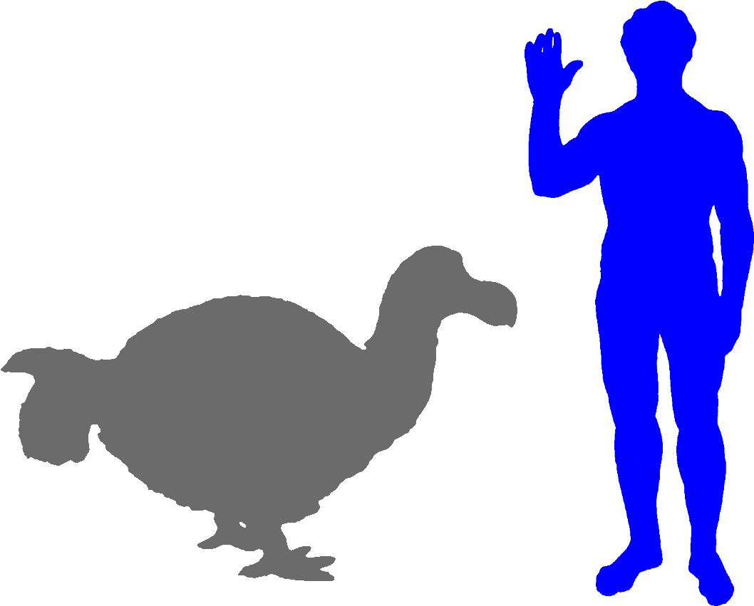 The Dodo Was The Largest Ever Pigeon - Velociraptor Next To Human (1120x912)
